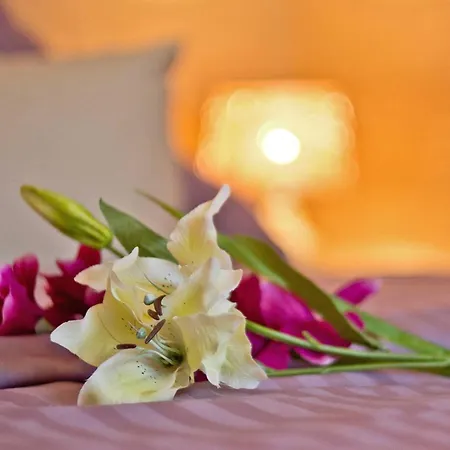 Апартаменты Feriendomizile Корсвандт